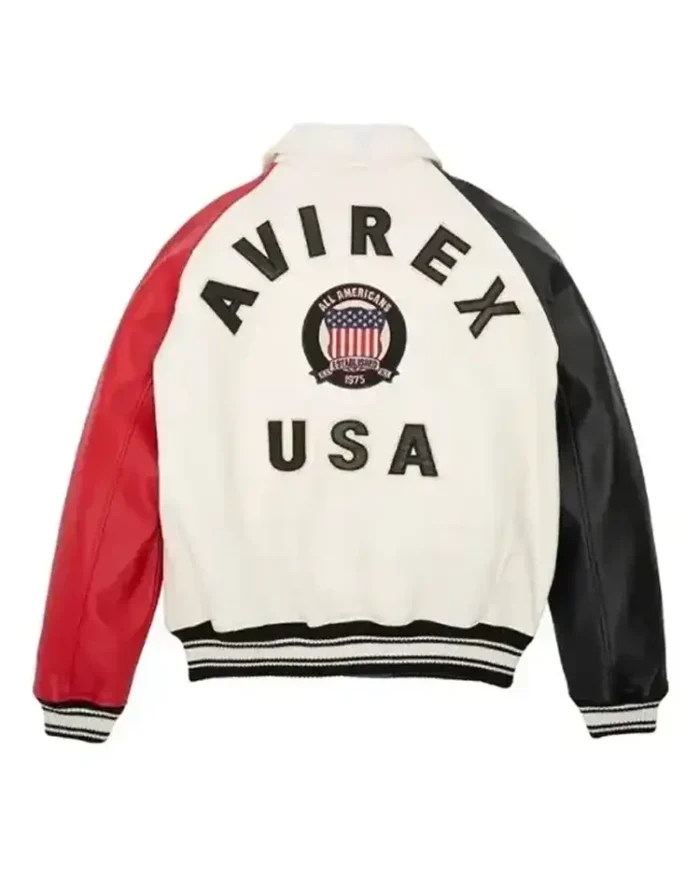 Avirex Block Color Real Leather Jacket back