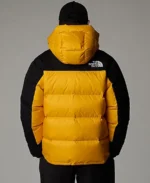 North Face Parka Men's back