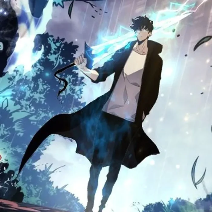 Solo Leveling Sung Jin Woo Black Coat