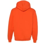 Sunny D Orange Hoodie
